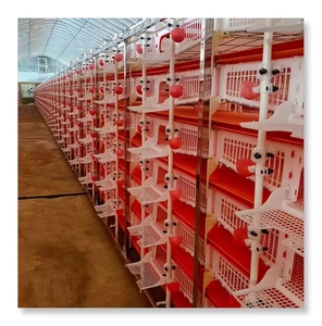 Poulailler automatique moderne à 6 étages en plastique pour cailles, à vendre au Ghana, en Allemagne, au Pérou - Product Image 4