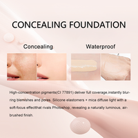 Cosmétiques, logo personnalisé, fond de teint liquide mat imperméable, couvrance totale, fond de teint, correcteur