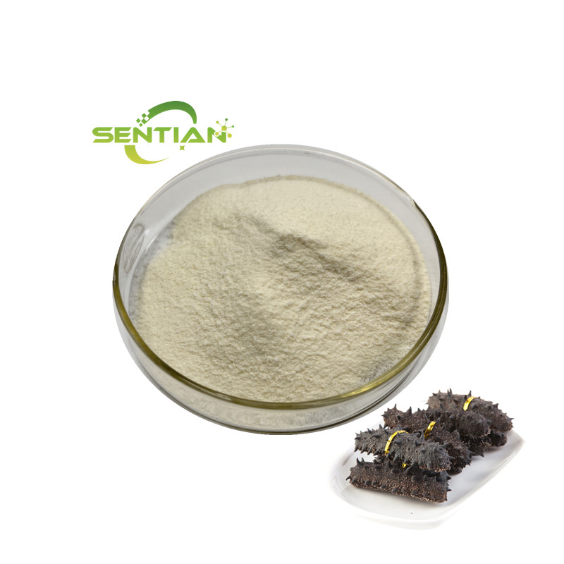 Factory Supply Food Grade Sea Cucumber Polypeptide Extraction Enzyme Powder Hot Sale Dried Sea Cucumber Peptidase Bottle Drum