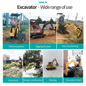 Mini Excavadora Hidráulica <span class=keywords><strong>de</strong></span> 2.2 Toneladas, Pequeña Máquina Excavadora <span class=keywords><strong>para</strong></span> Jardinería, Paisajismo y Obras Municipales - Product Image 6