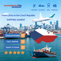 Agent maritime FCL Chine, transitaire, expédition de la Chine vers la République tchèque par mer/air