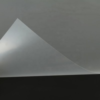 0.5MM Polypropylène PP Feuille de Plastique pour la Papeterie De Bureau Organisateur de Dossier Abat-Jour Taille Personnalisée et Couleur