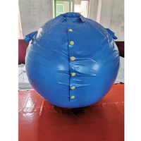 Nouveau : Ensemble de balles gonflables imperméables Myrtille 2025 avec globe de neige et design en arche, taille personnalisable