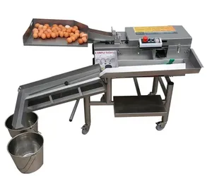 Macchina professionale industriale piccola rottura uova di gallina 8000 pz tuorlo d'uovo macchina separatore macchina separatore di uova prezzo