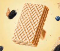 Biscuits et gâteaux croustillants au yaourt et aux myrtilles Kaman, saveur thé au fromage à la crème, 300g, format familial