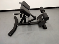 Banc de musculation et gymnastique avec chaise romaine, équipement d'exercices de gymnastique à usage commercial, extension à l'arrière