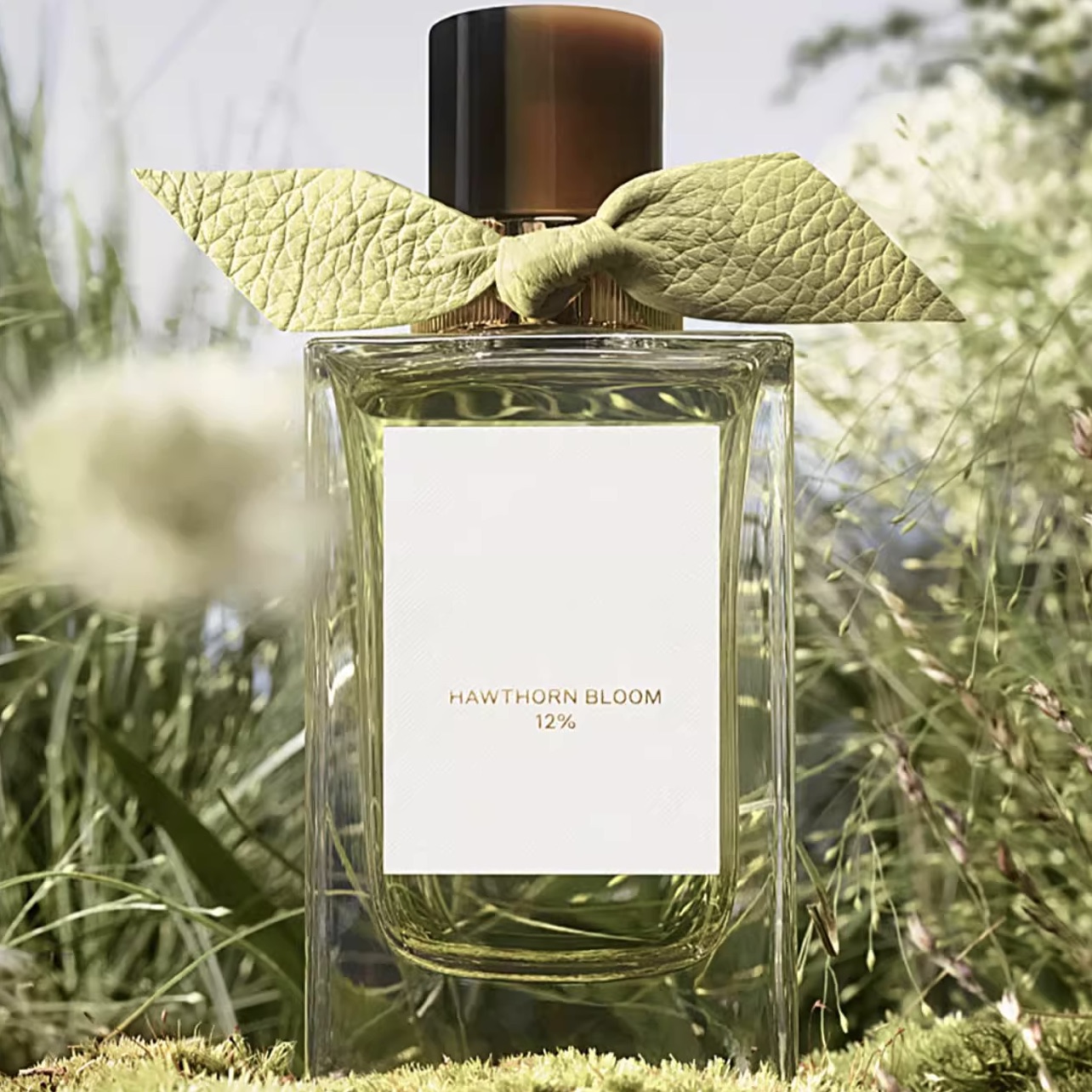 cologne valentino born in roma for men