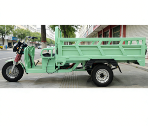 Triciclo Eléctrico de Carga de 2000W, el Más Vendido, para Uso Familiar, Duradero, de Alta Eficiencia y con Capacidad de 2 Toneladas - Product Image 2
