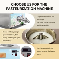 Machine de pasteurisation miniature avancée à haute productivité, usage industriel, automatique, capacité 14L, 110V/220V pour lait/jus/bière