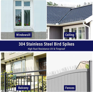 Qiao Liang Vogel dorn für den Außenbereich Faltbare gebogene Vogeldorn-Vogels pitzen Wall <span class=keywords><strong>Spike</strong></span> Anti Climb - Product Image 6