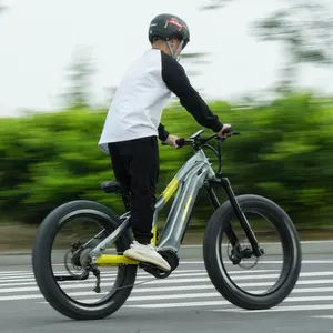 تصميم جديد دراجة جبلية velo electrique kenda 26 "e دراجة جبلية 48v الشاطئ e cruiser bici ww محرك مزدوج bafang ebike