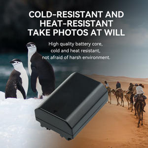 FB NP-FZ100 ชาร์จกลางแจ้งแบตเตอรี่ลิเธียมกล้องวิดีโอแบตเตอรี่กล้องสําหรับ <span class=keywords><strong>Sony</strong></span> A7m3 A7c A7R3 A7s3 <span class=keywords><strong>A7R4</strong></span> A7M4 7RM3 A9M2 A - Product Image 3