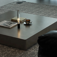 Table basse de style vintage minimaliste en acier inoxydable durable, table d'appoint moderne de luxe pour salon