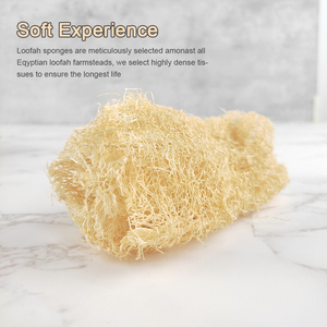 Ramah lingkungan Mesir loofah Biodegradable organik loofah spons cuci piring lembut Mesir loofah spons <span class=keywords><strong>luffa</strong></span> - Product Image 6