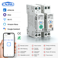 1P+N 63A 110V 220V Ewelink Wifi Smart Switch Pengukur Energi Meter Kwh Pemutus Sirkuit Timer Relay untuk Rumah Pintar