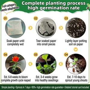 Cartes en papier grainé écologiques personnalisées sur le thème botanique - Billets de concert/enveloppes postales/invitations de mariage en papier grainé germinable - Product Image 6