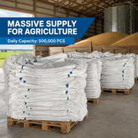 Sacs tissés en polypropylène durables de 5 kg, 10 kg, 20 kg, 25 kg, 50 kg, 100 kg pour graines et riz, sacs en PP laminé blanc pour l'agriculture