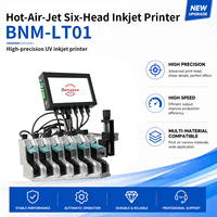 Impresora de Inyección de Tinta Industrial TIJ para Metal, Plástico, Máscaras, Huevos, Películas para Automóviles, Fecha de Caducidad, Código QR, Código de Barras, Marcado de Logotipos