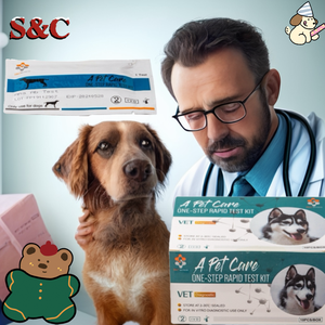 <span class=keywords><strong>Kit</strong></span> de <span class=keywords><strong>test</strong></span> rapide pour la maladie de Carré chez le chien, équipement vétérinaire à usage unique pour les soins des animaux de compagnie - Product Image 4