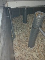 Équipement de production de gélatine, chaudière d'extraction, extracteur de collagène, cuve de réaction, machine