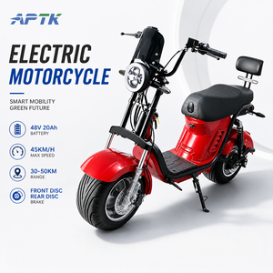 มอเตอร์ไซค์ EU Big Power 1800W 45กม./ชม. ระบบกันสะเทือนเต็มรูปแบบ ราคา CBU รถวิบาก - Product Image 1