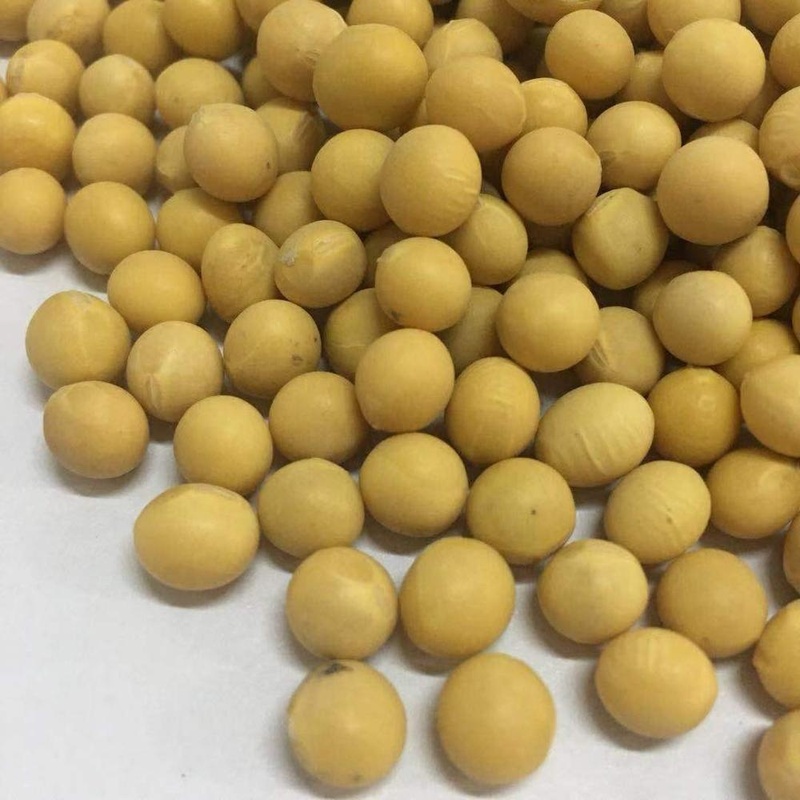 Wholesale Non Gmo Yellow Soybean Soy
