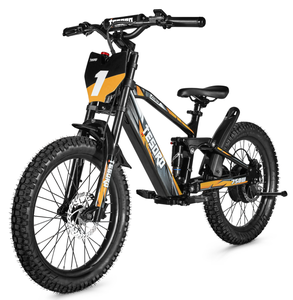 Draisienne Électrique Tout-Terrain pour Enfants TESORO Lianmei 18 Pouces 20 Pouces 350W 500W 750W Sans Pédales - Product Image 6