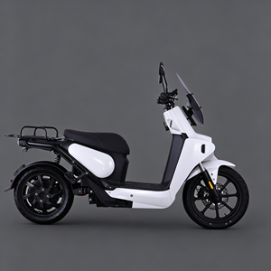 Motocicleta de Fábrica con Motor de 3KW, Velocidad de 80km/h, Carga de 150kg, Scooter de Dos Ruedas - Product Image 1