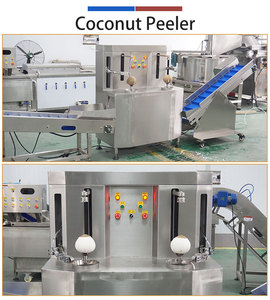 Juego de Máquinas Peladoras de <span class=keywords><strong>Coco</strong></span> Fengxiang para Plantas de <span class=keywords><strong>Coco</strong></span> en Indonesia - Product Image 3