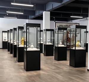 Kunstgalerie Stahl-Glas-Vitrine mit LED-Beleuchtung Langlebig & Pflegeleicht Modernistisches Kundenspezifisches Design - Product Image 6