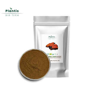 Supplément de soutien immunitaire cultivé sauvage en poudre d'extrait d'<span class=keywords><strong>Antrodia</strong></span> Camphorata de qualité alimentaire en vrac dans un emballage en tambour - Product Image 2