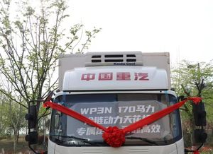 Camión refrigerado HOWO China con alta capacidad de carga para el transporte Logístico de productos agrícolas - Product Image 2