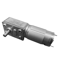 Moteur à vis sans fin électrique à aimant permanent anti-explosion à couple élevé Futeng 58*40.1mm 24V DC 12V