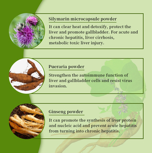 Comprimés naturels à base de plantes de silymarine et de pueraria pour la santé du foie des adultes, 60 comprimés/flacon, 2 comprimés par jour - Product Image 4