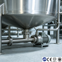 Tanque de Almacenamiento de Líquidos de Acero Inoxidable de Grado Alimenticio de 3000L con Mezclador, Control de Temperatura y Sistema Expandible para Procesamiento de Alimentos
