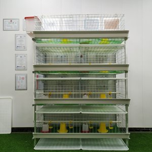 H tipi 120 ila 320 kuş kapasitesi 4 katlı çelik tavuk Brooder kafes otomatik pil kumandalı kümes hayvancılığı ev ev kullanımı - Product Image 3