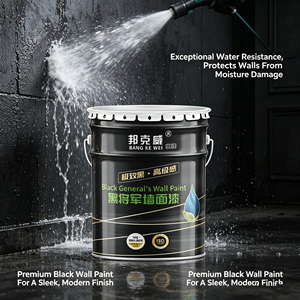Black Interior Wall <b>Paint</b>, Pure Black Roof <b>Paint</b> Environmentally Friendly <b>Paint</b> <b>Coating</b> 20KG Latex <b>Paint</b> - Product Image 4