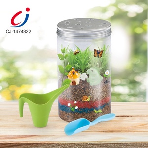Kit terrario Dinosaur Kids Plant grow Kit bambini scienza giocattoli educativi Mini giardino - Product Image 2