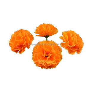 DIY macetas de flores artificiales bombillas <span class=keywords><strong>semillas</strong></span> Clavel flores cabeza flores decorativas y coronas decoración del banquete de boda al por mayor 2025 - Product Image 2