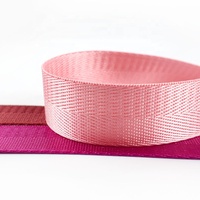 Vente en gros directe usine : Ruban en nylon coloré de 2-5 cm pour accessoires de couture, sangles de sac, colliers pour chien et ceintures de sac à dos