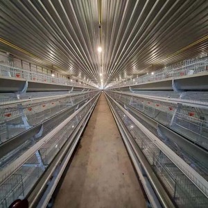 Équipement pour volailles ligne de production d'aliments pour volailles équipement pour l'élevage d'animaux et de volailles - Product Image 5