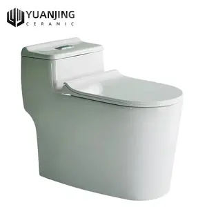 Tek parça tuvalet çift gömme tuvalet banyo için banyo malzemesi tuvalet kat monte 3D tasarım