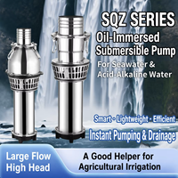 Pompe submersible triphasée en acier inoxydable immergée dans l'huile 15 CV 350 m³/h à commande entièrement automatique à aimant permanent variable