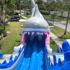 Toboggan aquatique gonflable commercial en forme <span class=keywords><strong>de</strong></span> requin pour enfants, grand château gonflable pas cher, trampoline, château gonflable pour adultes, grand - Product Image 3