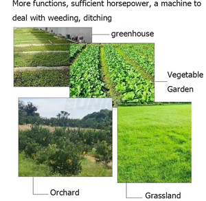 เครื่องตัด<span class=keywords><strong>หญ้า</strong></span>สี่ไดรฟ์แบบใช้<span class=keywords><strong>มือ</strong></span>กด - Product Image 6