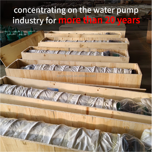 Dalgıç Elektrikli Yüksek Basınçlı Sulama Mobil Yüksek Hacimli Yüksek Performanslı OEM Demir Atık Su Pompası ve Aksesuarları - Product Image 6