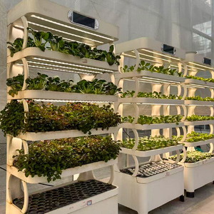 Sistemas de <span class=keywords><strong>Cultivo</strong></span> Hidropónico Verticales - Plantadora Automática para <span class=keywords><strong>Cultivo</strong></span> Comercial de Vegetales en Invernadero sin Suelo - Product Image 2