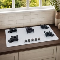 Cuisinière à gaz encastrable 5 brûleurs à allumage par impulsions, haute efficacité énergétique, nettoyage facile, pour usage domestique et hôtelier