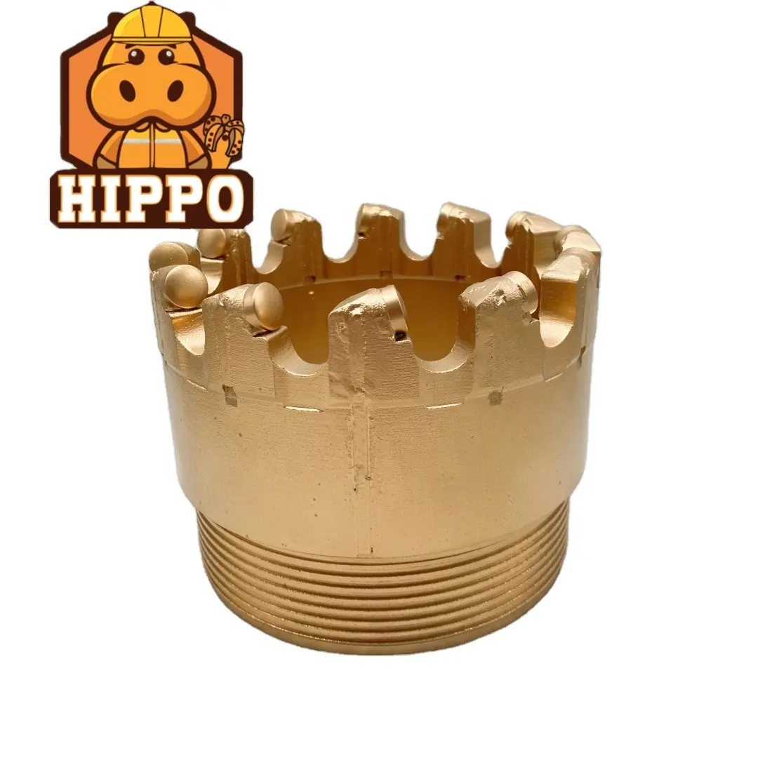 Hippopotamo 1305 convesso taglio filo lunghezza 30 Mm 40 Mm diametro 151 Mm 6 pollici Pdc carotaggio