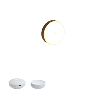 Veilleuse LED rechargeable USB Type-C, contrôle tactile, intensité réglable, blanc chaud, avec capteur crépusculaire, pour miroir, escalier, mini format